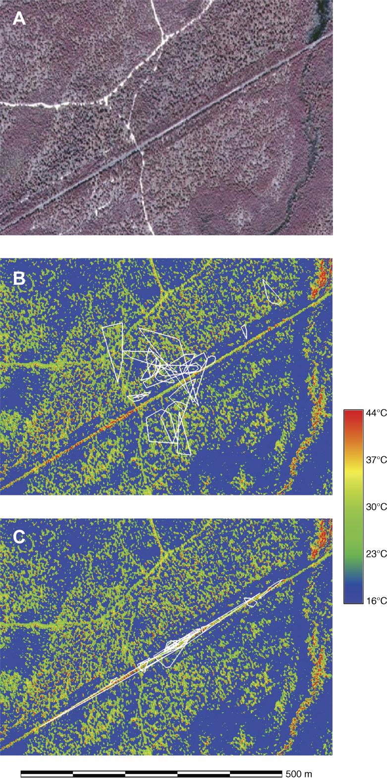 October 2009 NOTES 2937 FIG. 3. An artiﬁcial neural network was used to convert (A) an aerial photograph of the study area into (B and C) a thermal map.