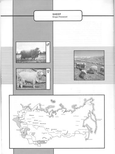 171 The State Flockbook lists 29 913 ewes and 404 rams.