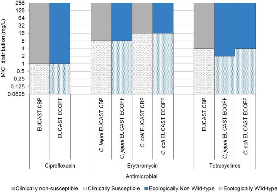 Figure 3: Comparison of clinical breakpoints for resistance (intermediate and resistant categories combined) and epidemiological cut-off values used to interpret MIC data reported for Campylobacter