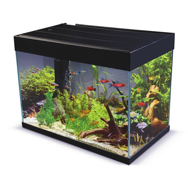 99 AA607 Black Betta Small Bow Aquarium 16L (L)33 x (H)35 x (W)25cm Volume: 16L RRP: 39.