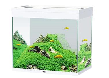 EMOTIONS NATURE PRO 80 The Emotions Nature Pro will help you discover all the beauty of the aquarium thanks to its attractive lines and of excellent quality.