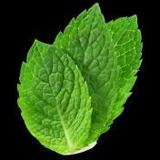 ~ Elizabeth Andrew Mint Leaf Candy fresh mint leaves, washed and patted dry 1 egg white or cup of water 1-3 Tbsp.