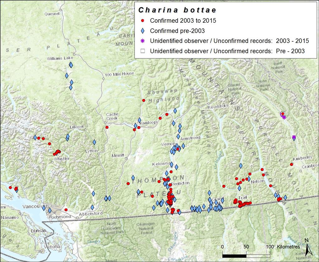 Population Spatial Structure and Variability The population spatial structure of the Northern Rubber Boa across its Canadian distribution is unstudied, but some broad-scale discontinuities are