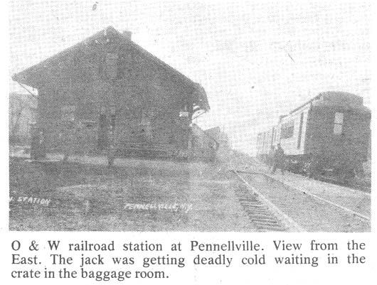 at the NYO&W Railway station in Pennellville that the Jack had arrived in a crate, and was getting deathly cold in the unheated baggage room.