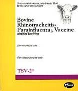 Vaccination (5%) Respiratory D x : IBR/ BRSV/