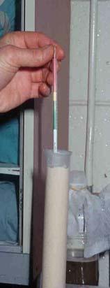 coli Ensure calves receive 1 gallon colostrum in first 6 hours Passive transfer of