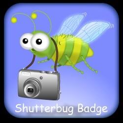 So we are looking for a shutter bug!!!! Are you good at photography? Then we need you!!! Pictures can emailed to me at agordon50@frontiernet.