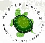 TurtleHaven Providing Safe Alternatives for Red-Eared Sliders and Injured Native Turtles By Angie Schoen, TurtleHaven Founder wetlands intersected roadways to help educate the public about hot spots