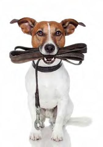 Westside news Volume 6, Number 3 March 2015 Official Newsletter of the Westside at Buttercup Creek HOA DOGS AND LEASHES What would we do without man s best friend?