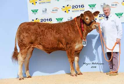 area 2016 FROGMORE LOUISE Maternal sister