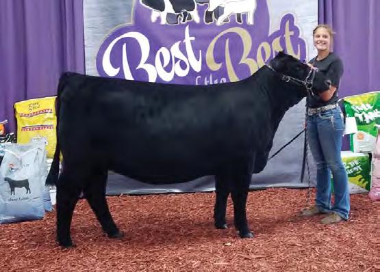 With great excitement, we bring you an exciting set of registered Angus bred females.