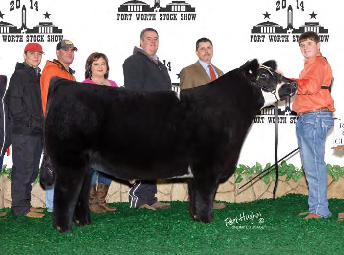 All the expense of making the embryos and semen will be Holtkamp Cattle Co. expense. The first 3 eggs made will be the buyers; the remainder are Holtkamp Cattle Co. s. This was well received and happy to offer it again.