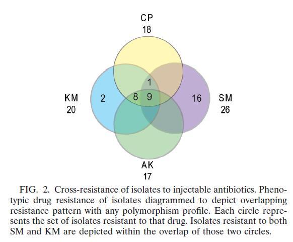 Resistance and Cross-Resistance to Aminoglycosides and Capreomycin in M.