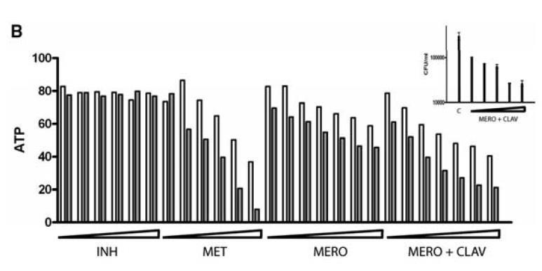 Meropenem-Clavulanate and XDR-TB (A) Aerobic growth (B)