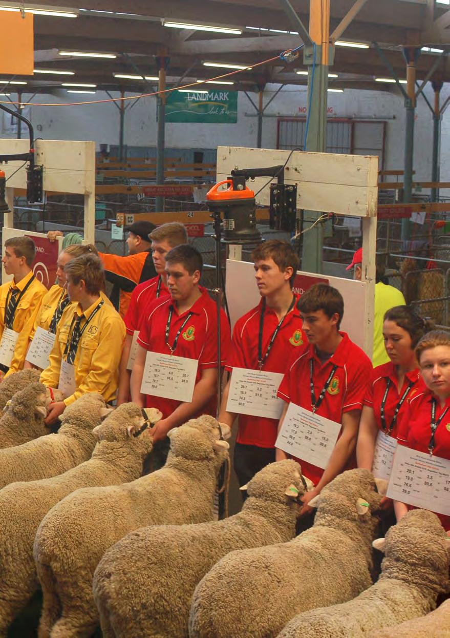 SOUTH AUSTRALIAN SCHOOLS MERINO WETHERS COMPETITION HANDBOOK MERINO SA The Association promotes and encourages the breeding and improvement of pure Merino and Poll Merino sheep, while endeavoring to