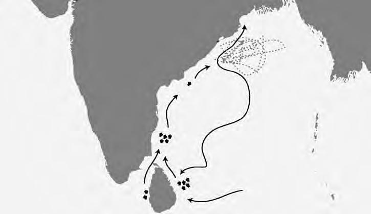 Research and Monitoring Migratory routes of olive ridleys along the east coast of India 2.4.1.