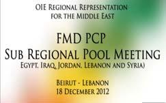 2013 Activity Sub regional FMD