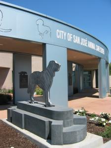 Introduction In accordance with the City Auditor s 2009-10 Audit Workplan, we have completed an Audit of the Animal Care & Services Division (ACS) of the General Services Department (GSD).