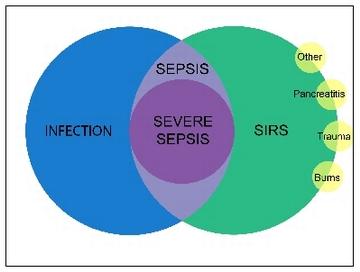 Sepsis/Infection-course: Development of massive leucocytosis with max.