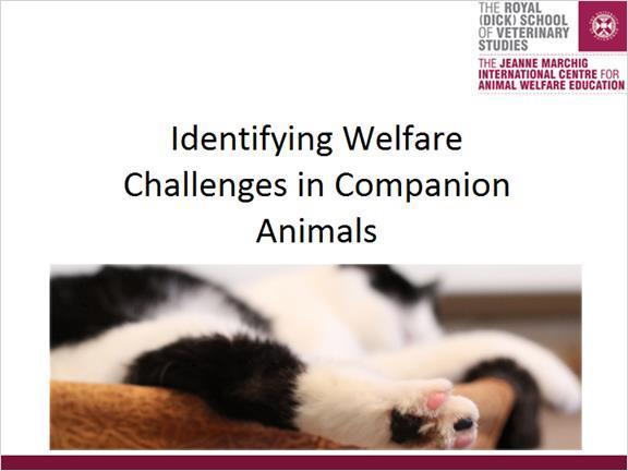 3. Identifying Welfare Challenges