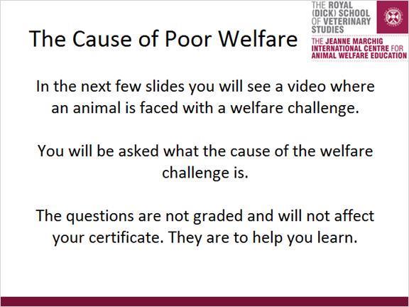 3.3 The Cause of Poor Welfare 3.