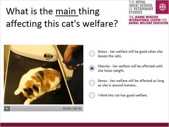 Correct Choice Stress - her welfare will be good when she leaves the vets. X Obesity - her welfare will be affected until she loses weight.