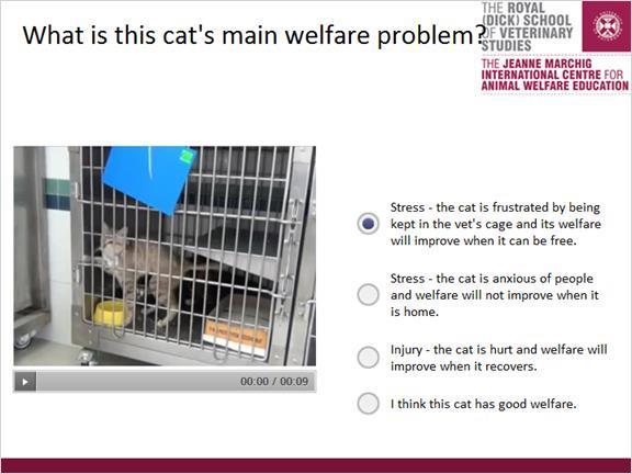 Correct X Choice Stress - the cat is frustrated by being kept in the vet's cage and its welfare will improve when it can be free.