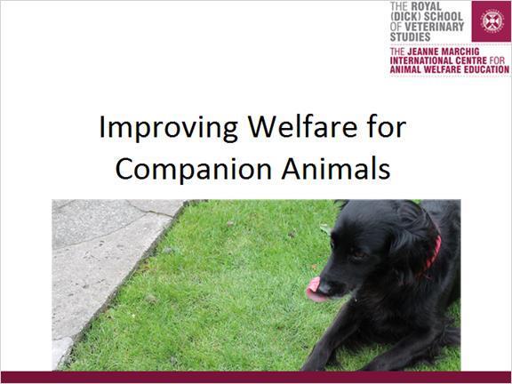 4. Improving Welfare