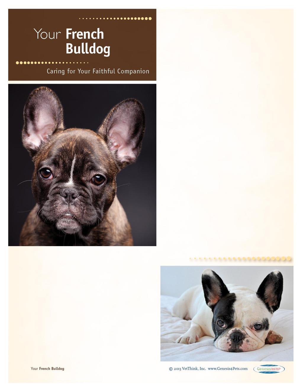 French Bulldogs: What a Unique Breed! Your dog is special! She's your best friend, companion, and a source of unconditional love.