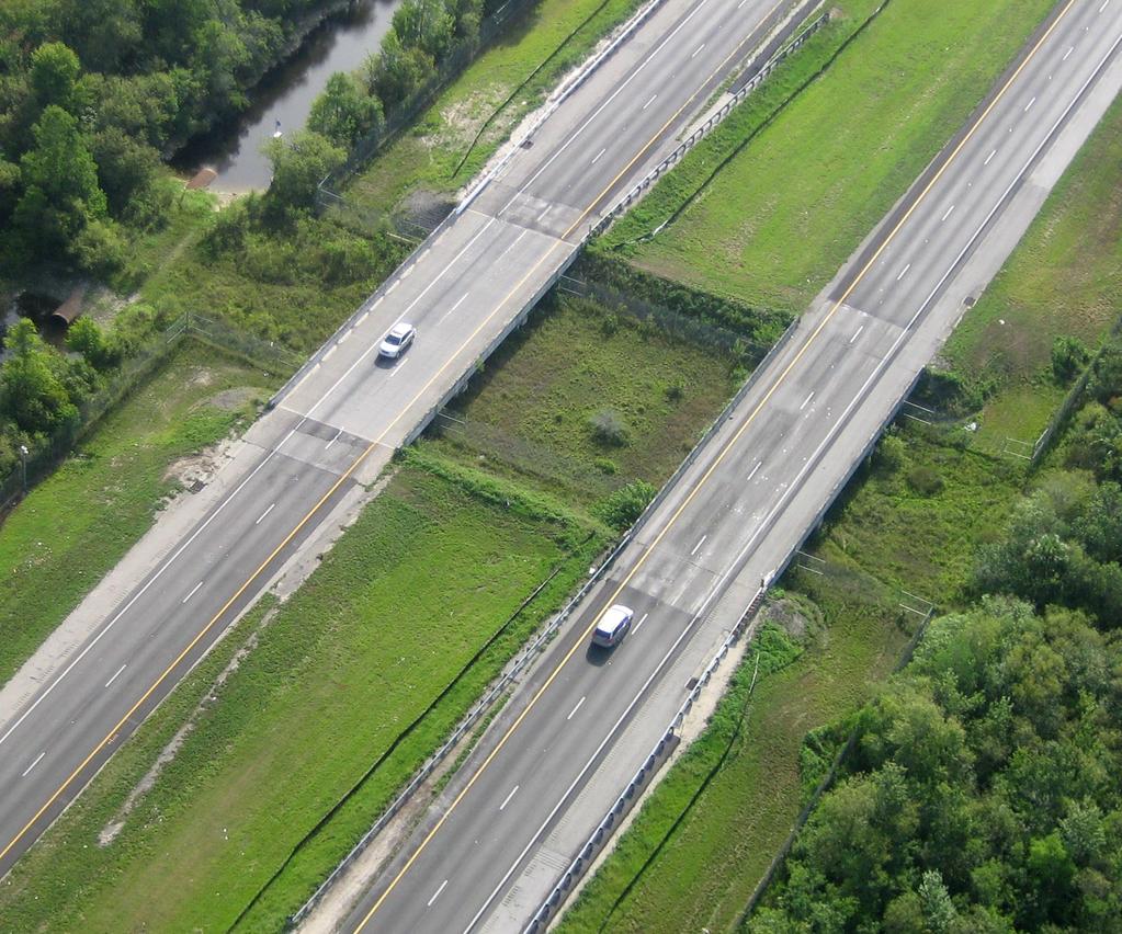 Above: The underpasses on the Alligator Alley portion of I-75 consist of two bridges. number of Florida panther roadkills has mirrored the size of the panther population (Fig. 1).
