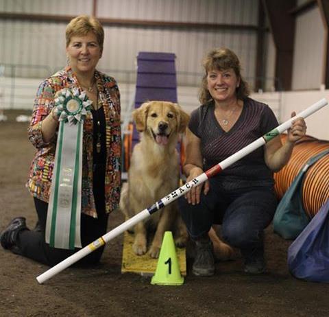 The Golden Reporter Page 10 of 12 Jozie (MACH Cashmere s Dream Weaver UD RN XF CGC) earned her MACH on May 18 th in Fargo under fellow Golden owner, judge Rhonda Crane!
