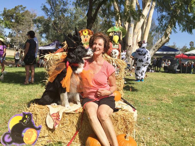 Howloween Funfest at Harry Griffen Park October 14, 2017 The ABOCI booth and agility ring manned by Eleni, Lonni, Joan and Audrey were a big