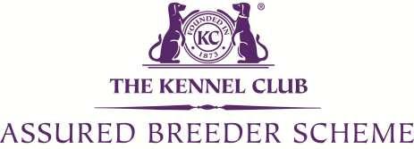The Kennel Club aims to promote the health, happiness and general wellbeing of all dogs, and to provide you with an invaluable resource for every aspect of life with your dog.