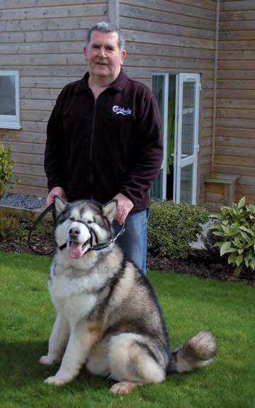 really help them to build up a relationship again. Paul Sheila Walks the dogs: Every day Years volunteering: 8 years I love doing this work for the dogs sake, and it s great for me too.