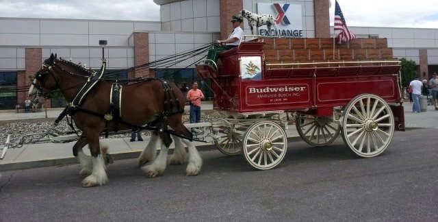 This is the Famous Budweiser Clydesdales and Chip (the Dalmatian) when they were