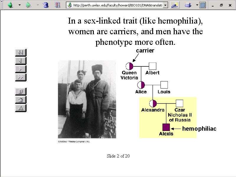 Female Carriers In a sex-linked trait (such as hemophilia),only females are carriers, because they have two X chromosomes therefore allowing them to carry two versions of the gene.
