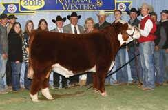 6 0.9 17.5 23 52-1.8 124 1.60 1.50 84 0.025 0.96 0.16 391 468 119 Here is an exciting opportunity for the Hereford enthusiast.