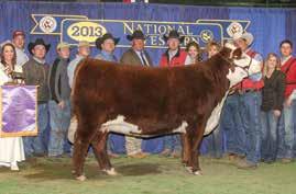 03 357 419 99 It s easy to promote a cow with such a track record. Her dam, 5139R is a household name in the breed.