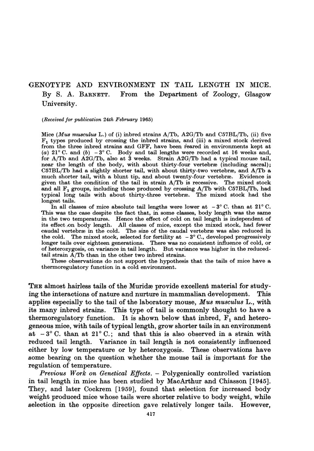 GENOTYPE AND ENVRONMENT N TAL LENGTH N MCE. By S. A. BARNETT. From the Department of Zoology, Glasgow University. (Received for publication 24th February 1965) Mice (Mus musculu8 L.