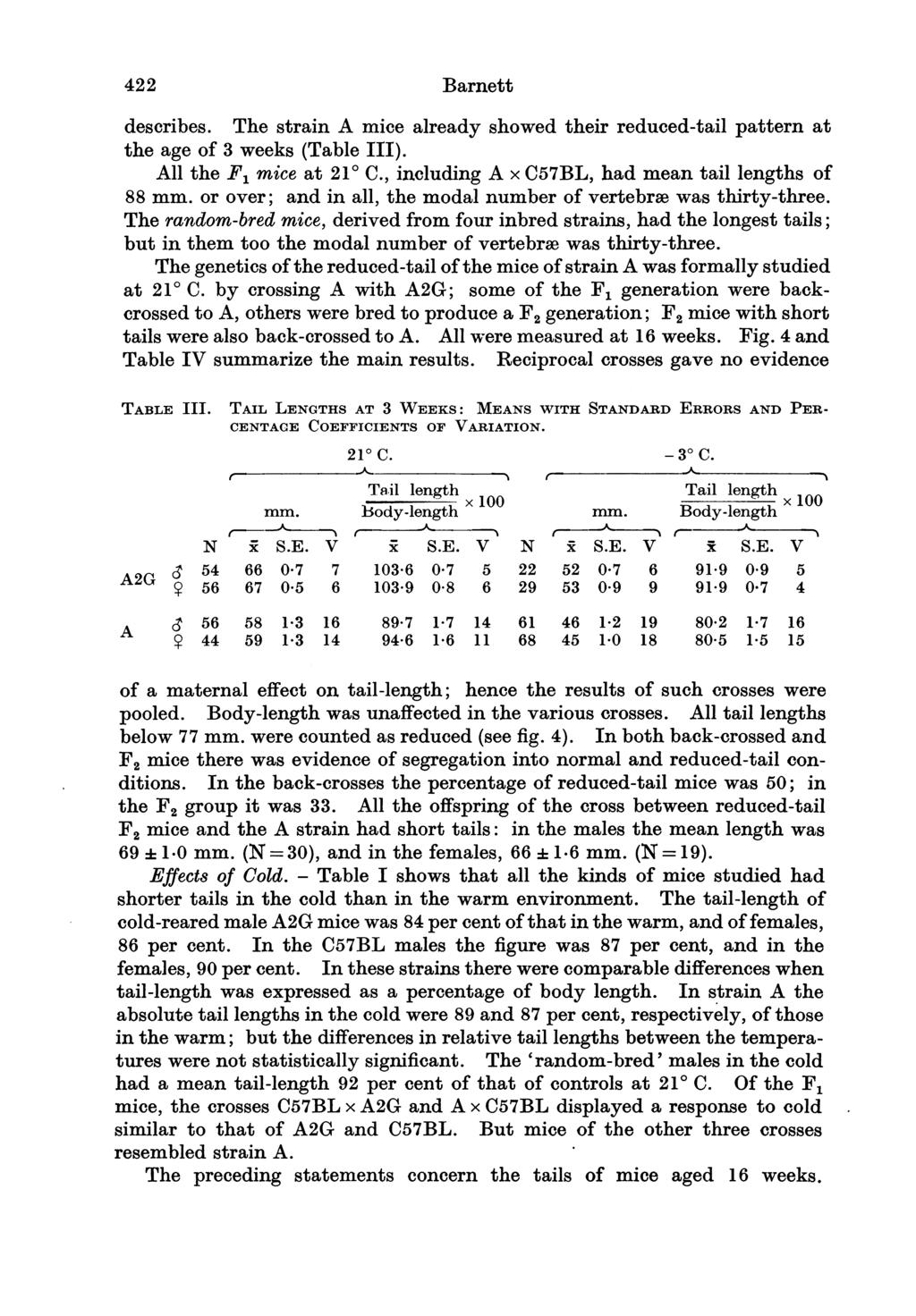 422 Barnett describes. The strain A mice already showed their reduced-tail pattern at the age of 3 weeks (Table ). All the F1 mice at 210 C., including A x C57BL, had mean tail lengths of 88 mm.