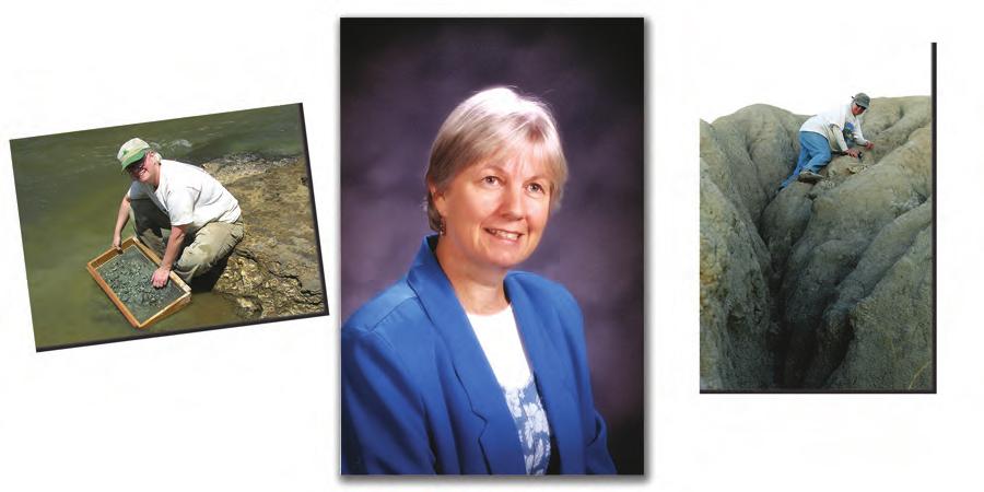 IN MEMORIUM SHELLEY ETHERIDGE FRANZ 1952-2008 We dedicate this issue of the Bulletin of the Florida Museum of Natural History on Bahamian fossil tortoises to Shelley E.