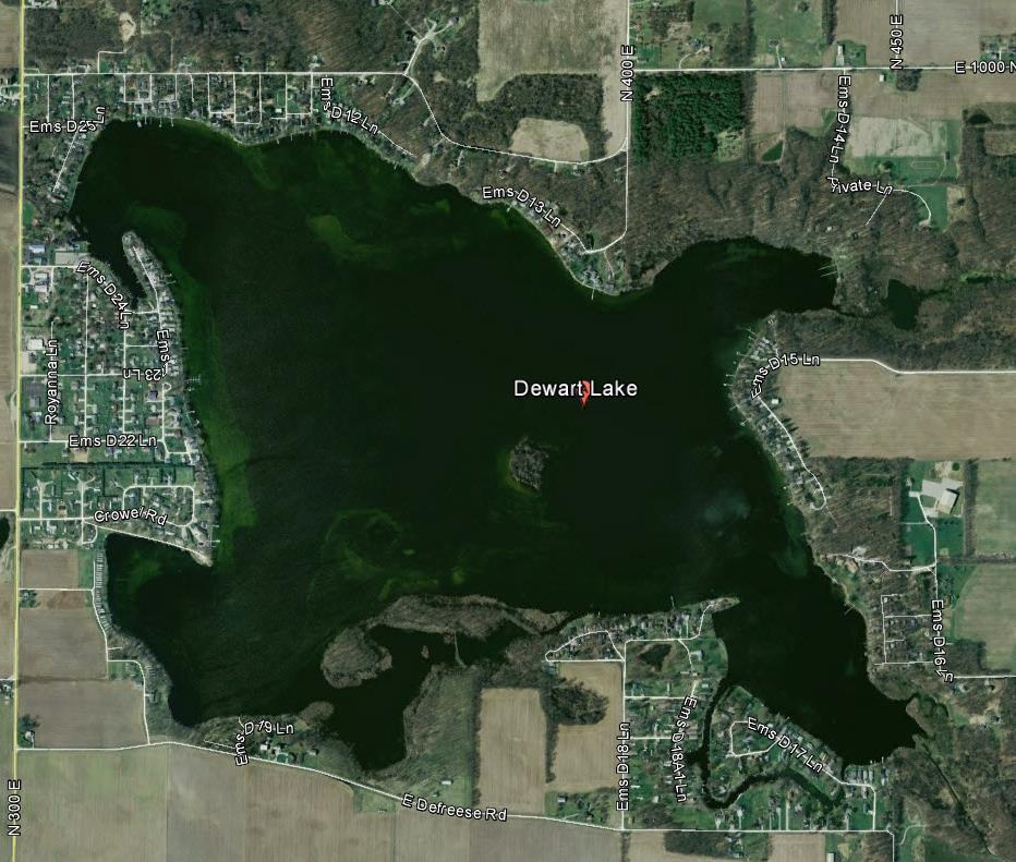 Mute Swans and the Long Term Stewardship of Dewart Lake - A Discussion with Recommendations A presentation prepared by the DLPA Swan Committee Google Earth Dewart Lake ~ 551 acres in size Dewart Lake
