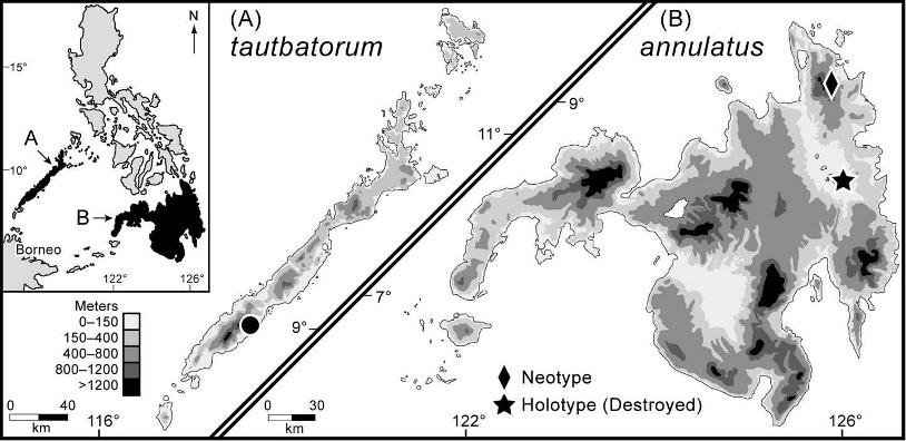 September 2009] HERPETOLOGICA 329 FIG. 1. Map of the Philippines (inset) with details of Palawan Island (A; Cyrtodactylus tautbatorum type locality) and Mindanao Island (B: C.