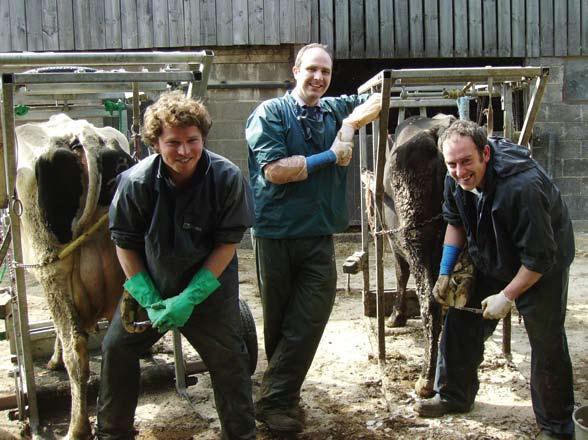 FarmSkills workshops offer practical, hands-on training delivered on farm by our experienced vets across a variety of dairy, beef, sheep, pig and poultry topics.