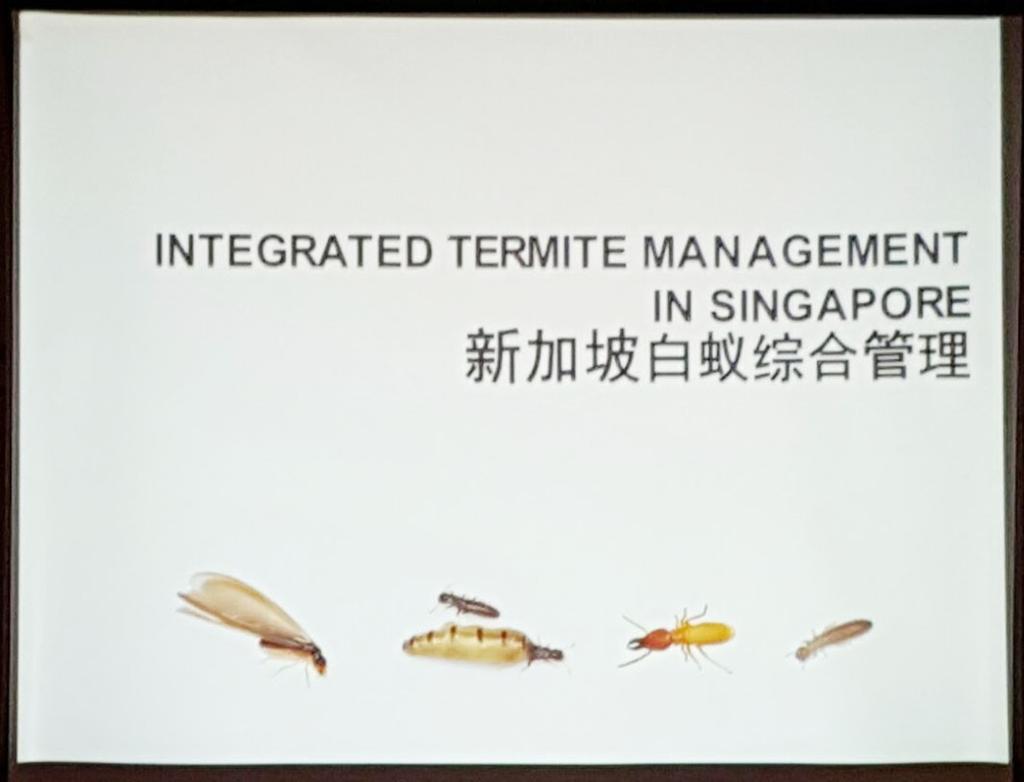 on termite control and sharing of practical experiences from