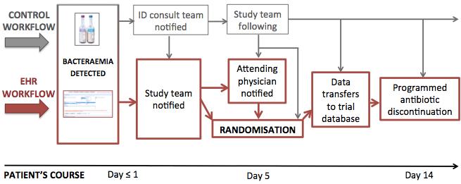 Study design: informatics component Electronic-healthcare record workflow for patient identification, randomization and follow-up.