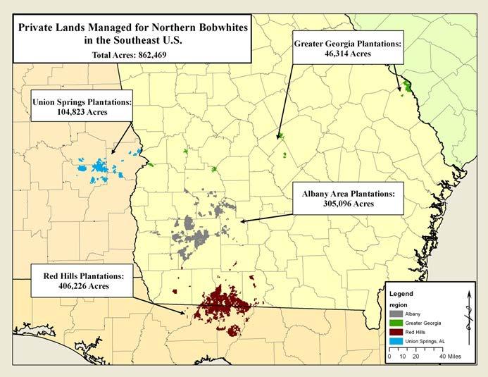 Study Area 11 privately owned bobwhite plantations 4 sites in UCP region near Albany, GA 3 sites in