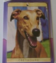 Chrome plated Dog Tag with a greyhound silhouette design, the