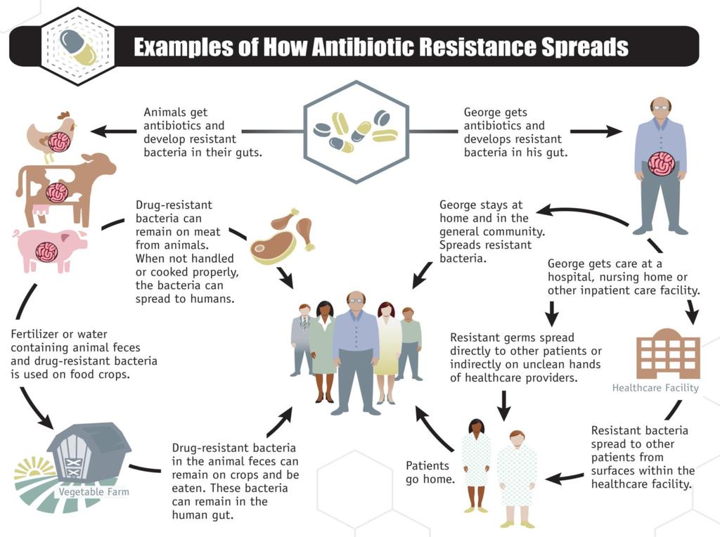 ONE HEALTH, AND THE ECOLOGY OF RESISTANCE The greater the quantity of antibiotics sold or used, the more resistance will develop and spread.