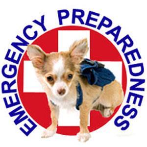 3 KNOW HOW TO EVACUATE WITH YOUR PET (continued) PETS AND PUBLIC TRANSPORTATION When an evacuation order is declared, pets will be allowed on Transit buses.